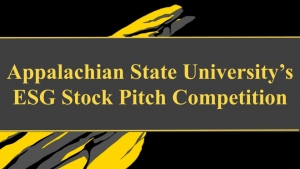 Stock Pitch